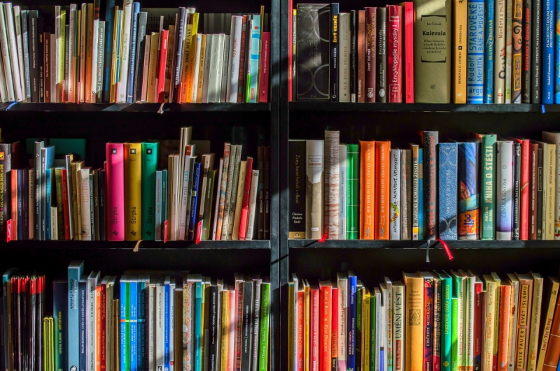 vitrine-LA GARDE-min_books_bookstore_book_reading_shop_writer_sale_books_read-822866