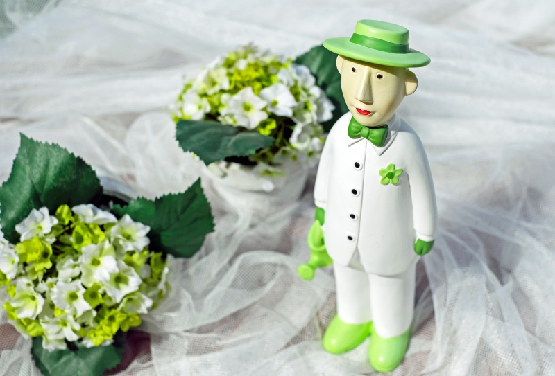 vitrine-LA GARDE-min_man-person-flower-green-toy-fig-546529-pxhere.com